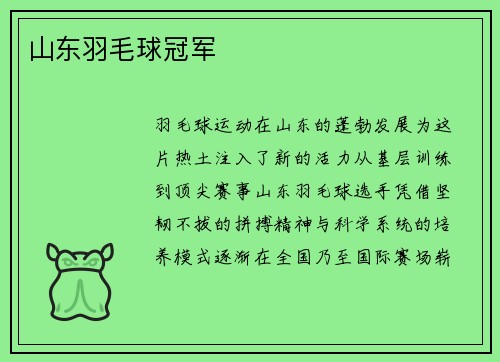 山东羽毛球冠军