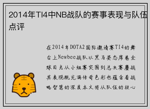 2014年TI4中NB战队的赛事表现与队伍点评